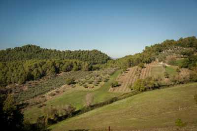 Terreno in Vendita a Spoleto Localetã  Icciano Perchia